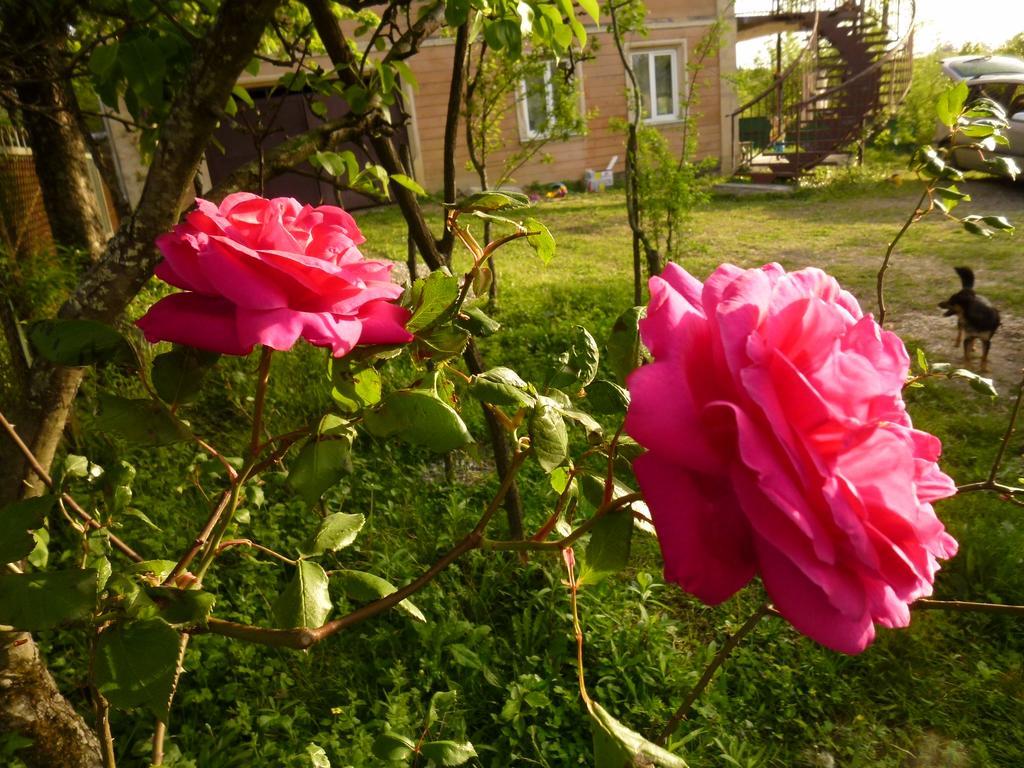 Country House Uliana Tskaltubo Luaran gambar
